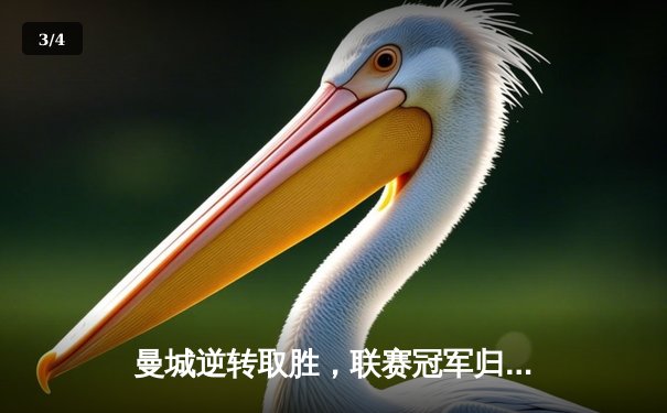 曼城逆转取胜，联赛冠军归属悬念再起 - 3